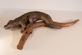 CROCODILE