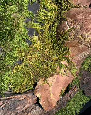 Site-terre-detail-2