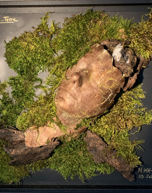 site-terre1