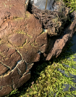 site-terre3-detail