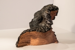 6-Gorille-tete