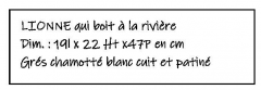 LIONNE-qui-boit-à-la-rivière