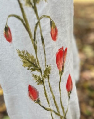 8coquelicots