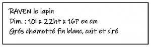 RAVEN-le-Lapin