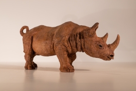 RHINOCÉROS