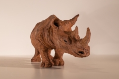2-rhino