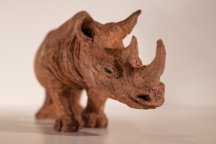 3-rhino