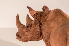 5-rhino