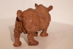 6-rhino