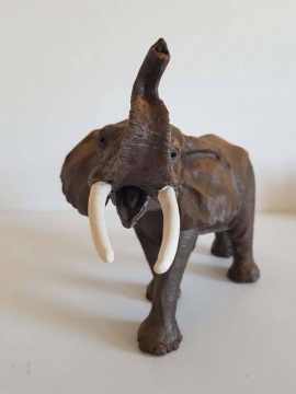 TA WAN l'éléphant