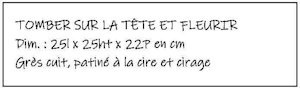 1_Tomber-sur-la-Tête-et-Fleurir