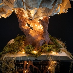 Arbre-connaissance-5