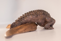 IMG_9973-Modifier-10-LD