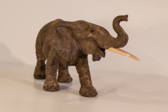 Elephant-2