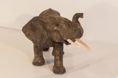 Elephant-3