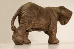 IMG_9946-Modifier-12-LD