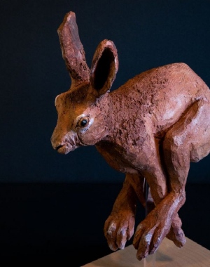 tn_Liervre-qui-court-3