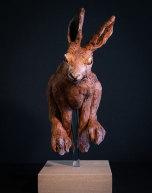 tn_Lievre-qui-court-1