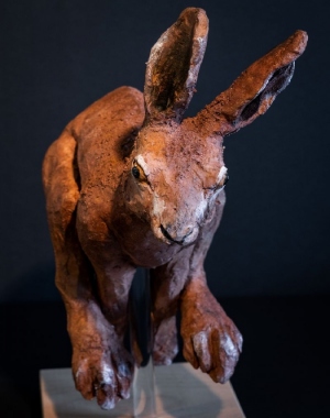 tn_Lievre-qui-court-2