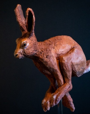 tn_Lievre-qui-court-4