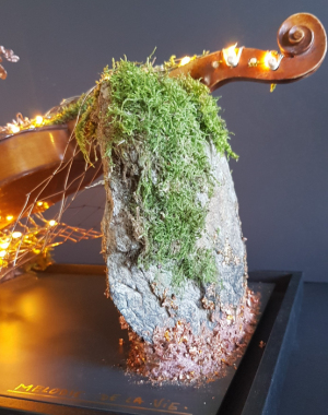 3-Mélodie-de-la-Vie