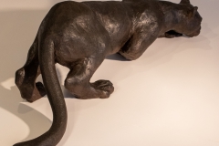 IMG_0018-Modifier-10-LD