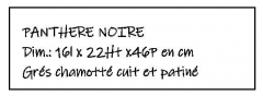 PANTHERE-NOIRE