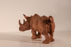 4-rhino