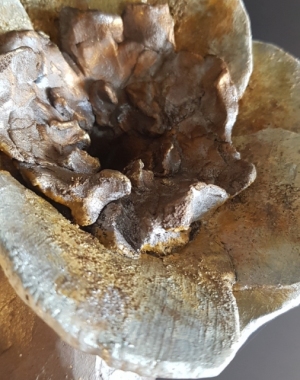 Tomber-sur-la-tête-et-fleurir-2